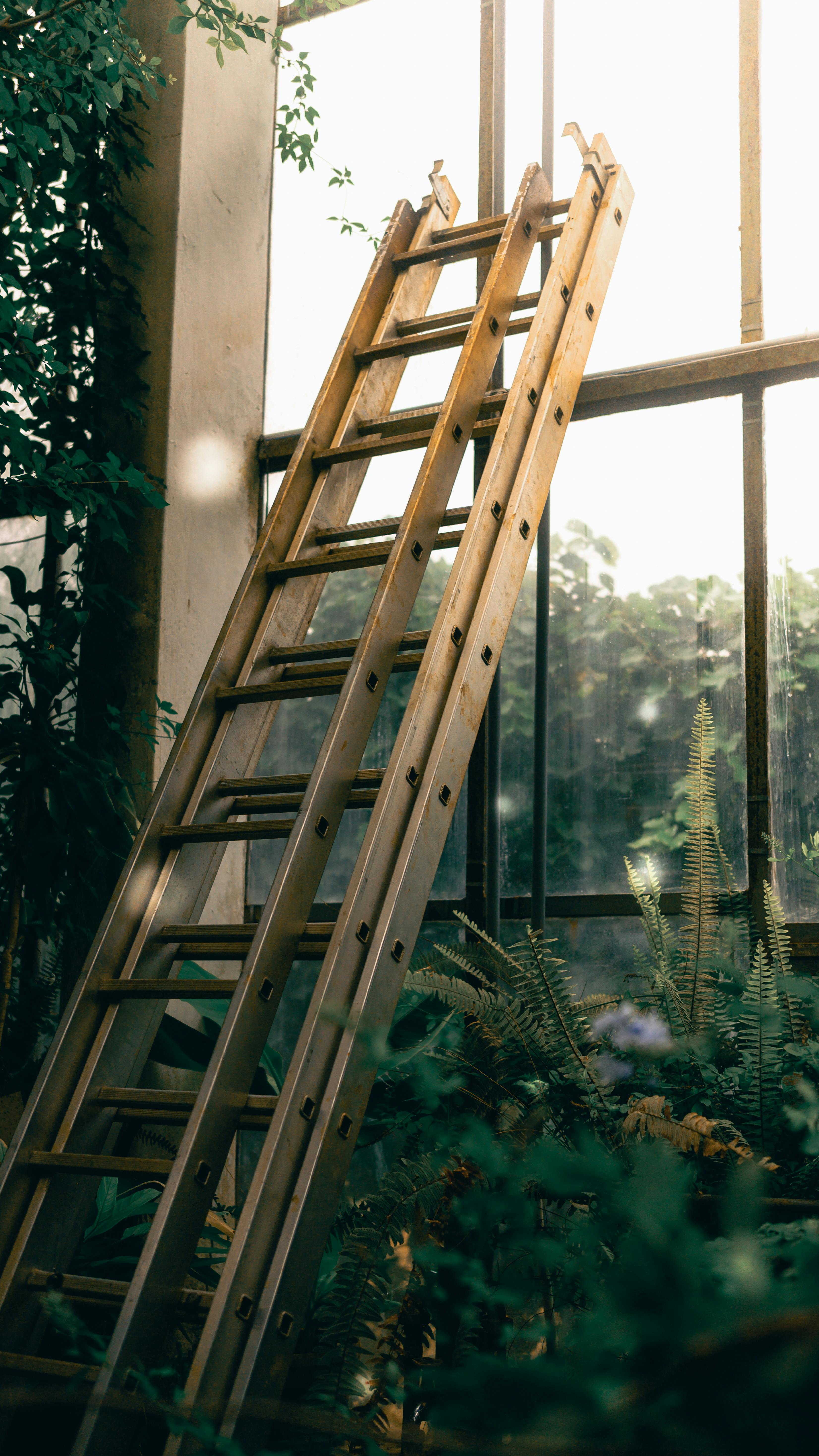 forêt. Ampoule posée sur le sol avec pousse à l'intérieur